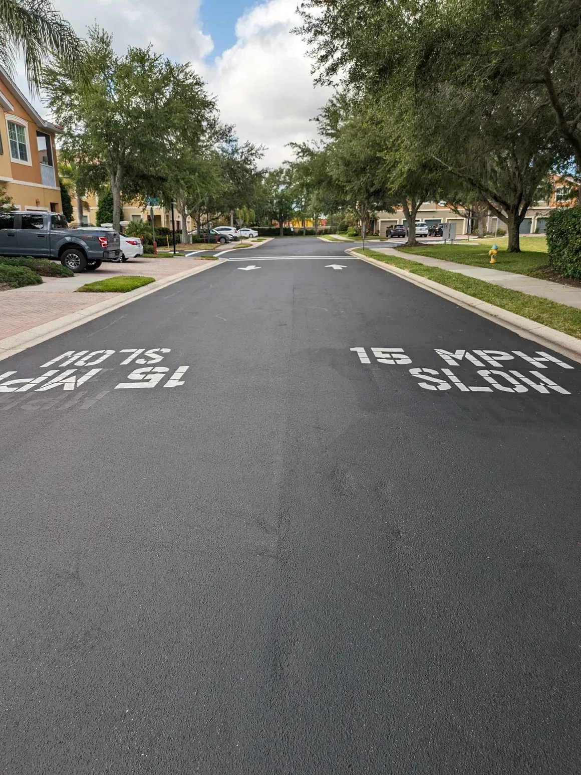 Quiet suburban street with white road markings on wet pavement, trees, parked cars, and houses on both sides.