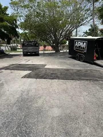 Tree-lined parking lot with two black trucks on a cracked pavement under bright daylight