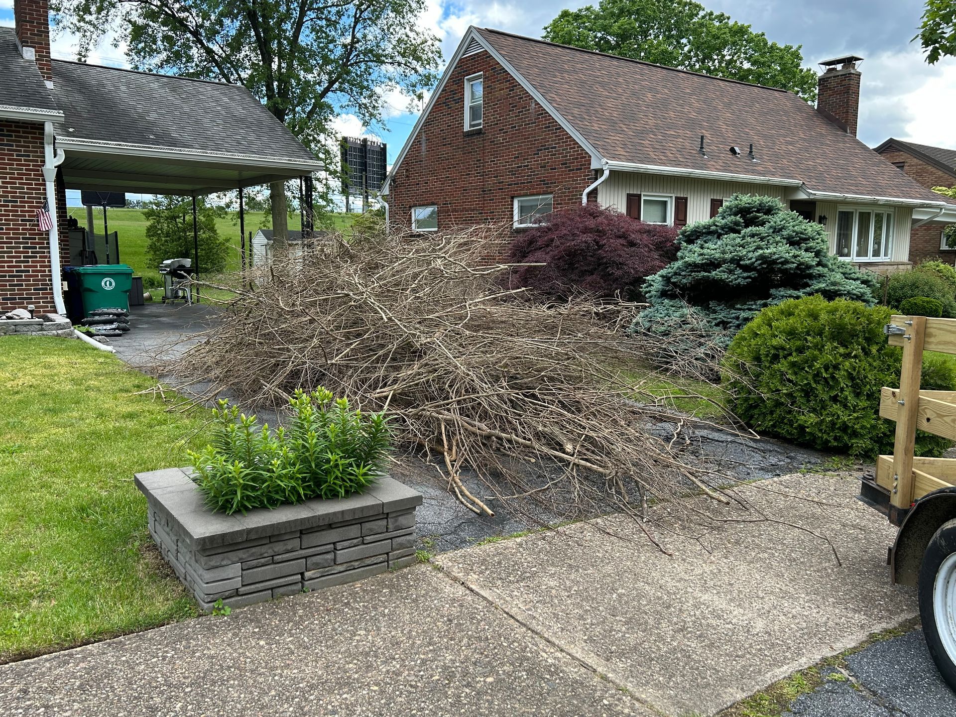 A pile of dead branches sits on a driveway in front of a brick house.