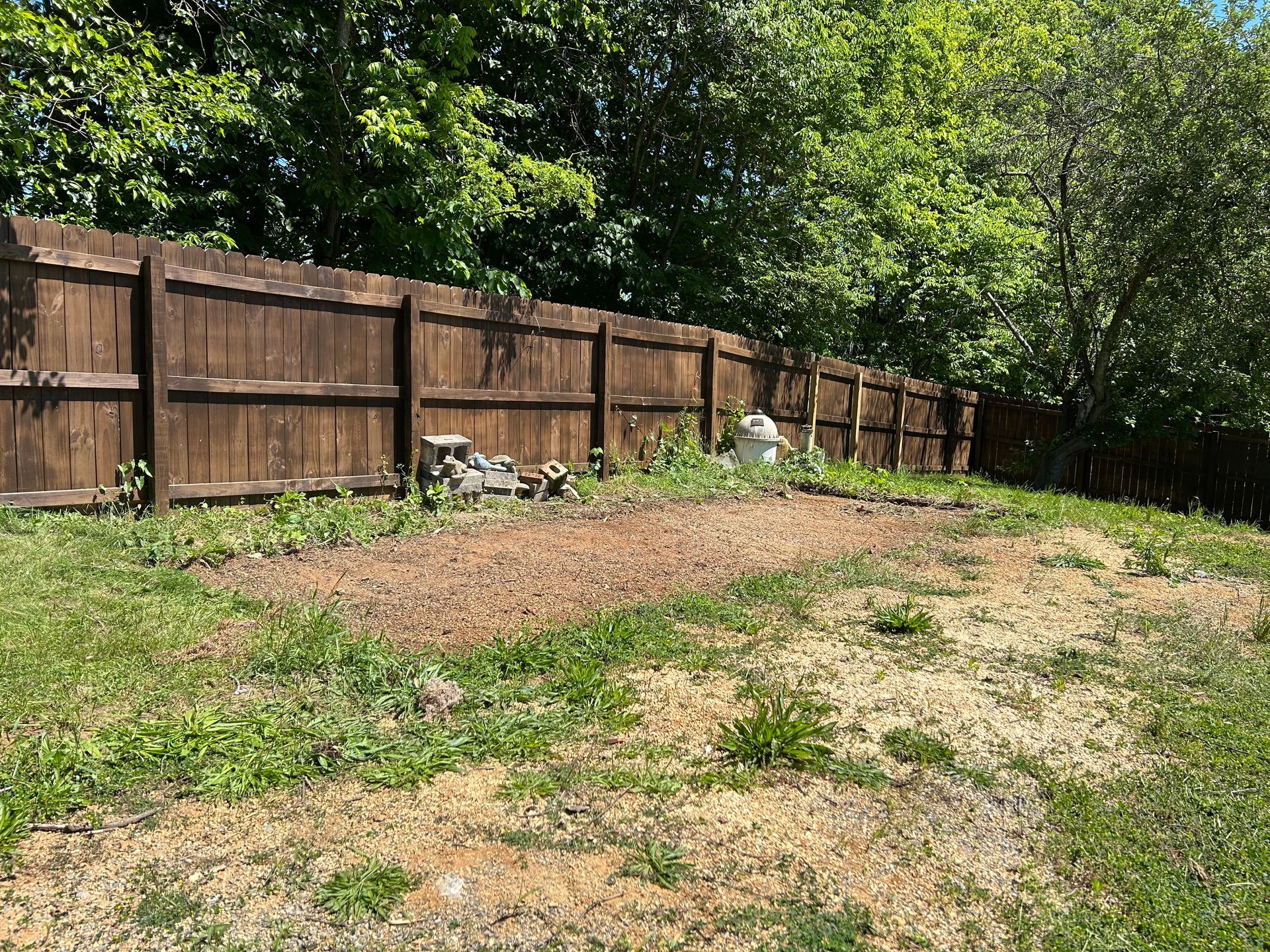 A backyard with a brown wooden fence, dirt patch, and patchy green grass under a bright sky.