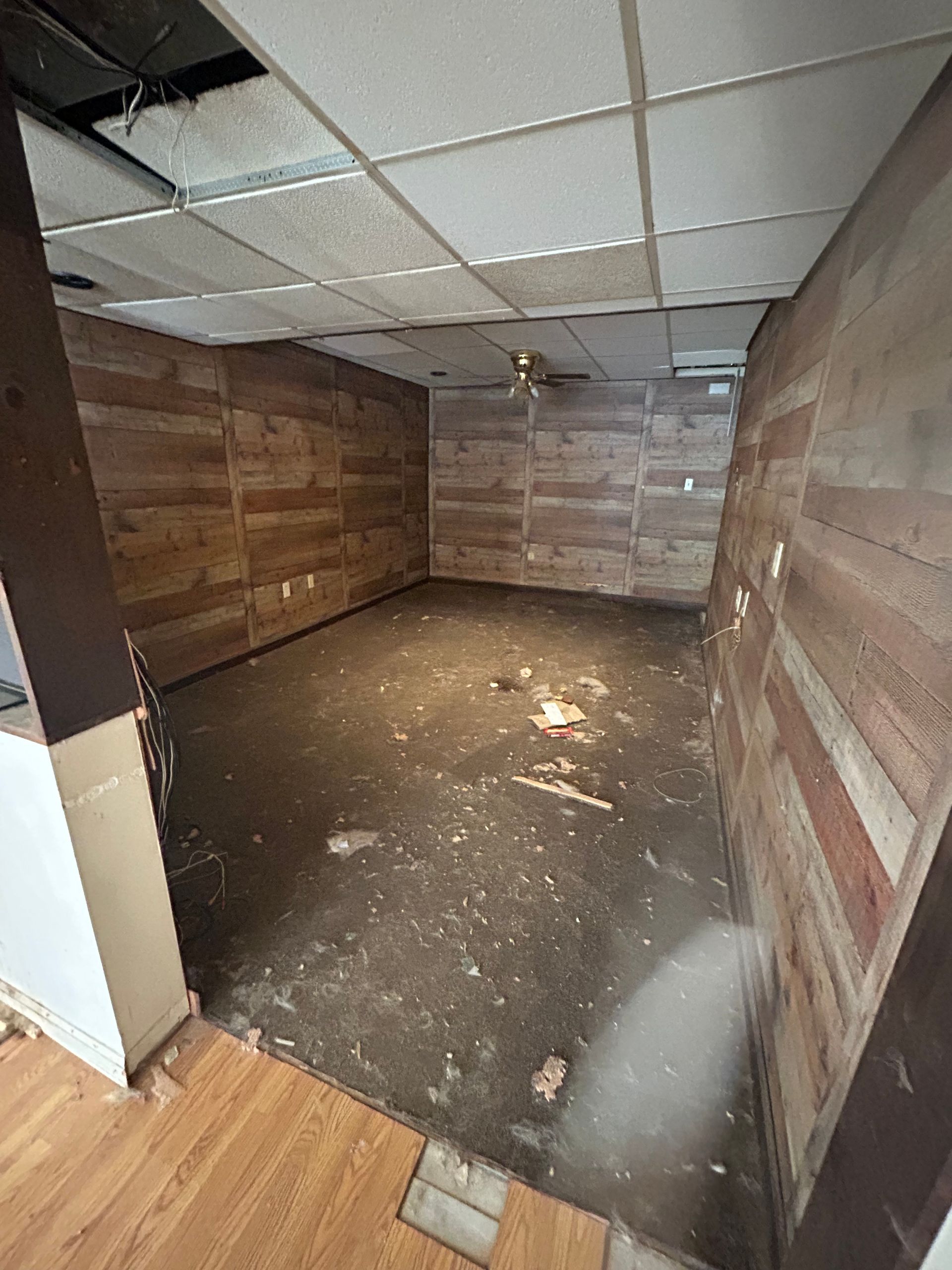 An empty, small room with wood-paneled walls, concrete floor, and dropped ceiling.