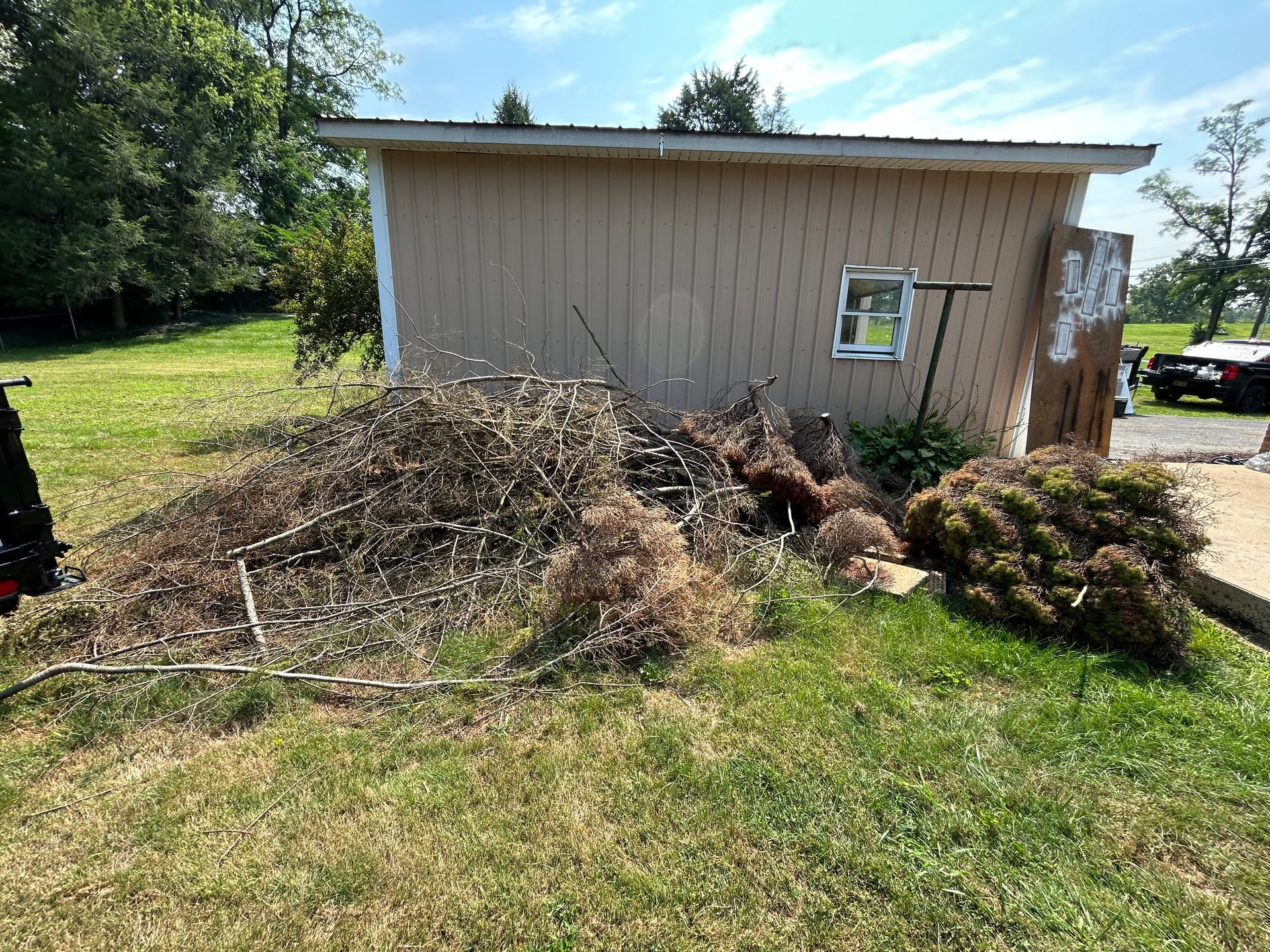 A pile of branches and yard waste next to a small, beige shed on a grassy lawn under a sunny sky.