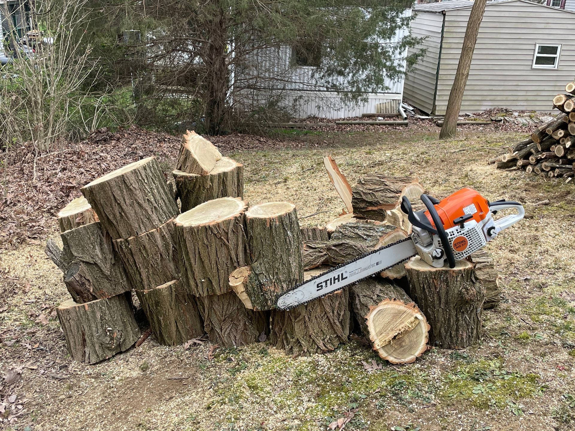 Chainsaw cutting logs outdoors. An orange and silver chainsaw rests on chopped wood with a small house in the background.