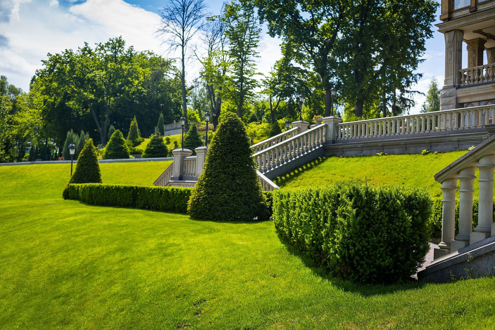 A manicured lawn features cone-shaped hedges and a stone staircase leading to a grand building on a sunny day.
