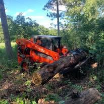An orange Kubota skid steer moves a large log through a wooded area on a sunny day.
