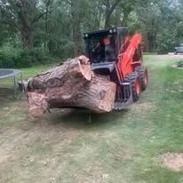 An orange skid-steer loader carries a large tree stump across a grassy, wooded yard.