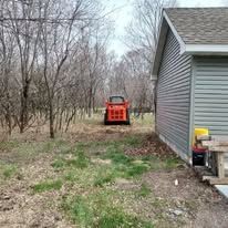 An orange skid steer parked near a line of trees next to the grey siding of a house.