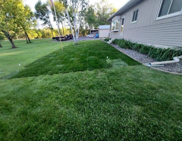 A patch of fresh, vibrant green sod installed on a lawn next to the side of a light-colored house with a gravel border.