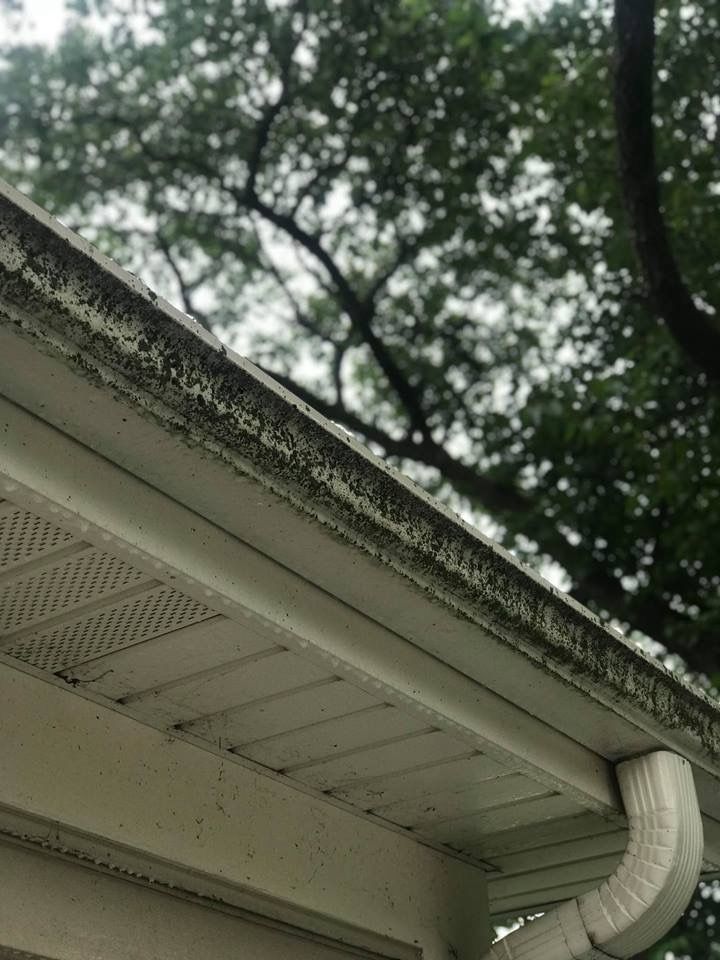 A close up of a gutter on a house with trees in the background.