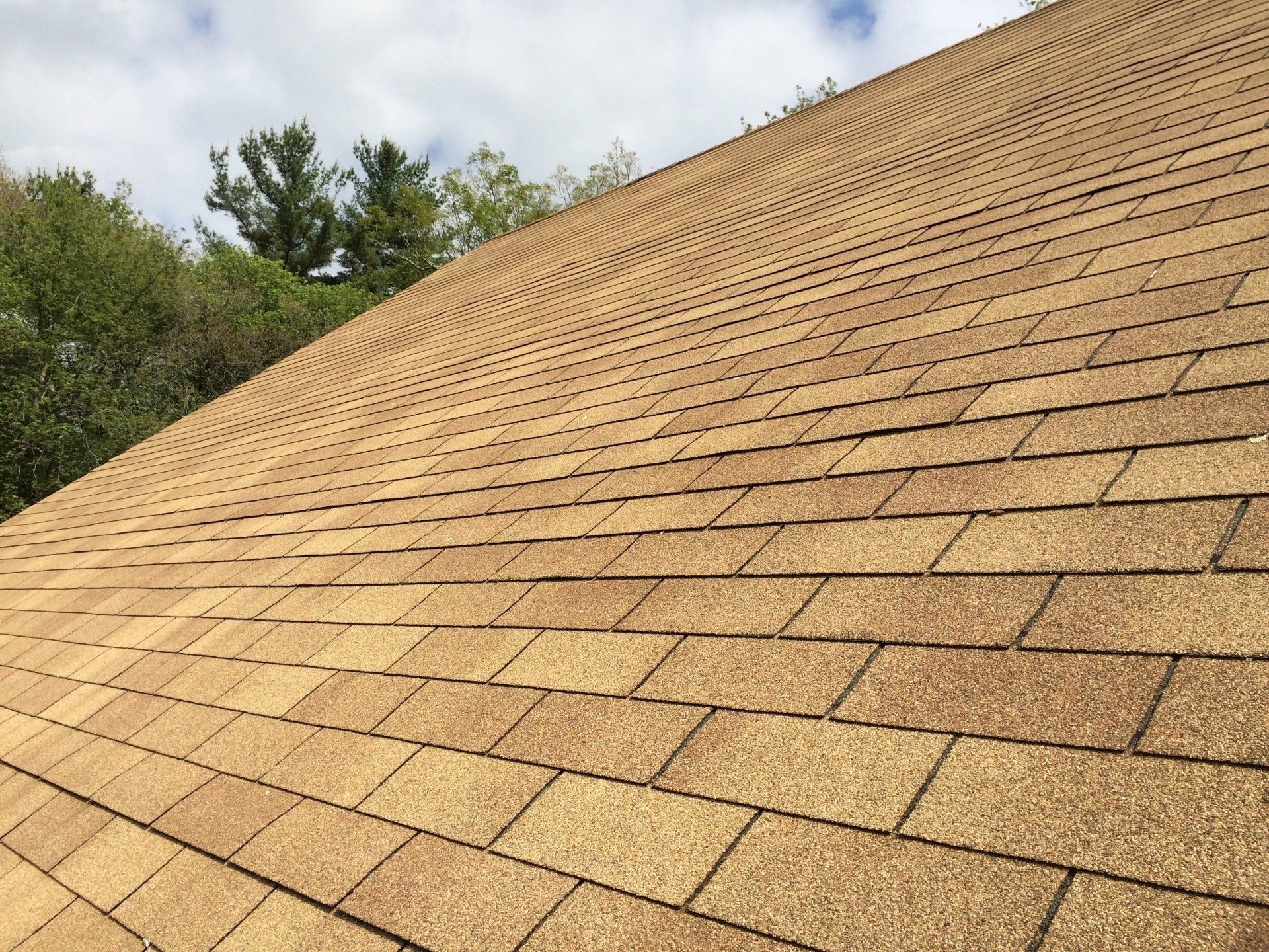 A close up of a roof with shingles and trees in the background.