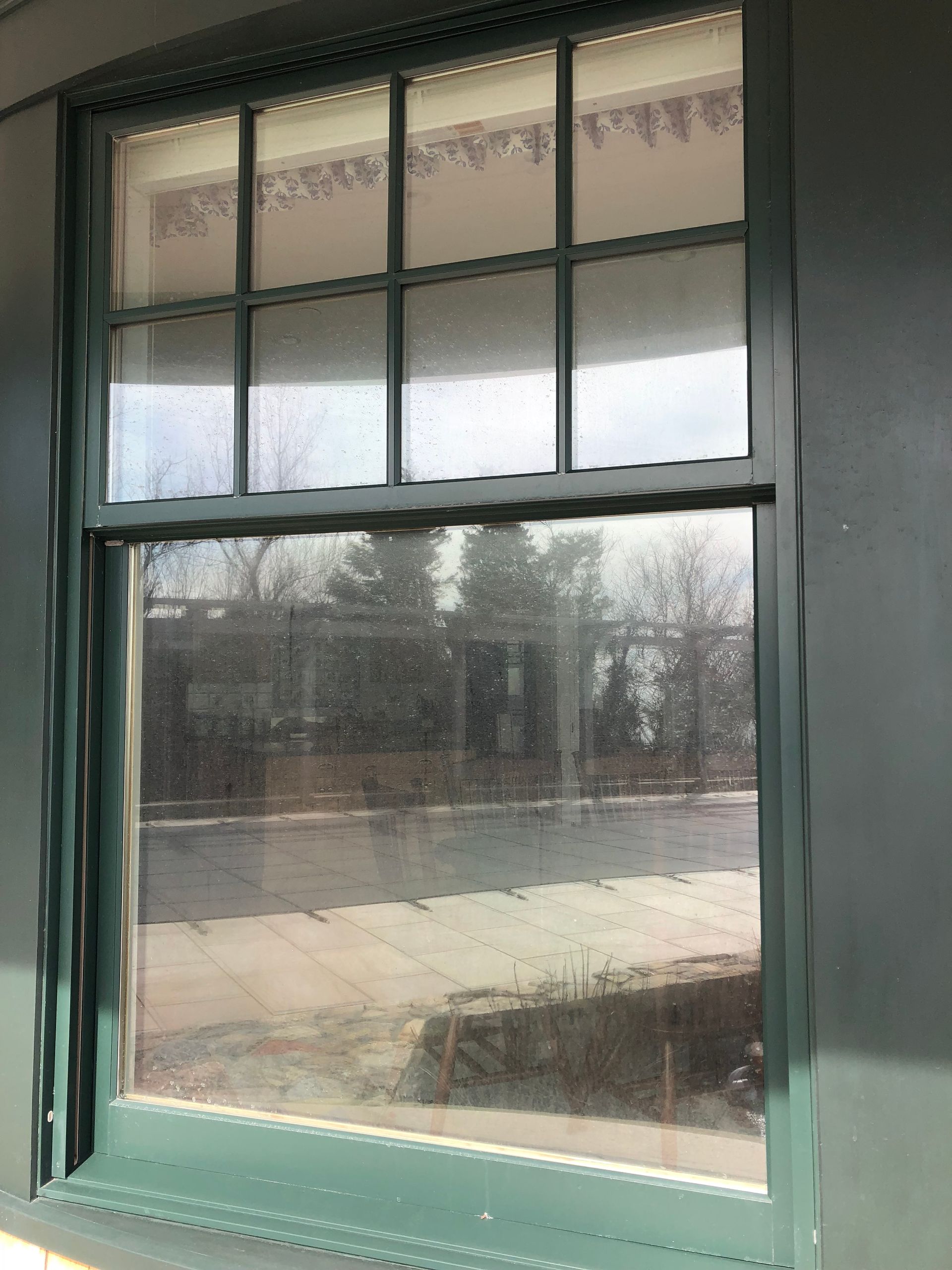 A green window with a reflection of trees in it