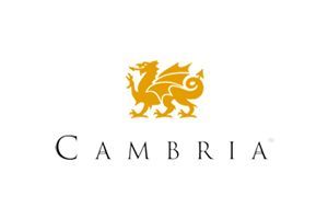 The logo for cambria has a dragon on it.