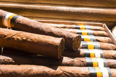 Bundles of brown cigars with gold and black bands in a wooden tray