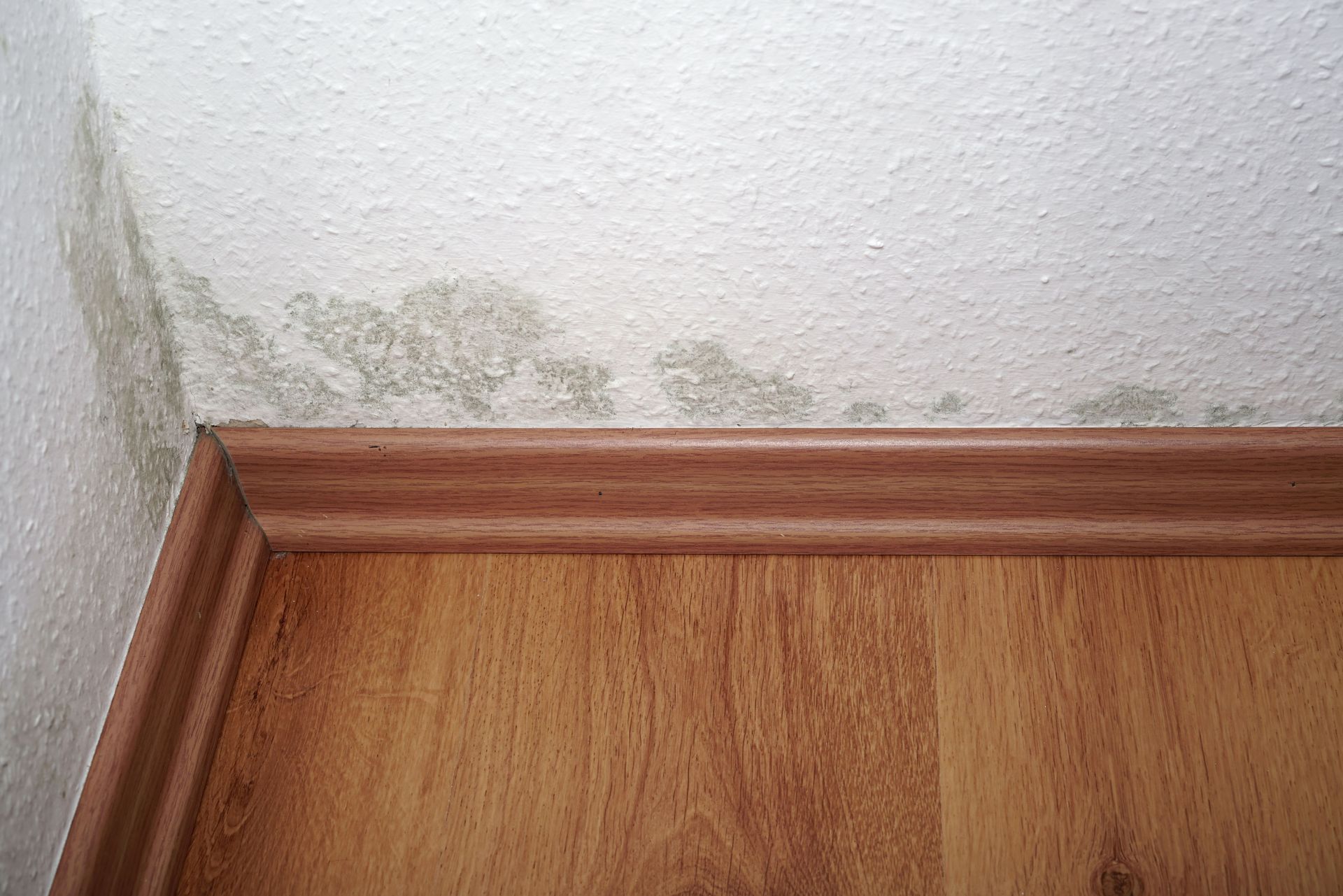 water damage