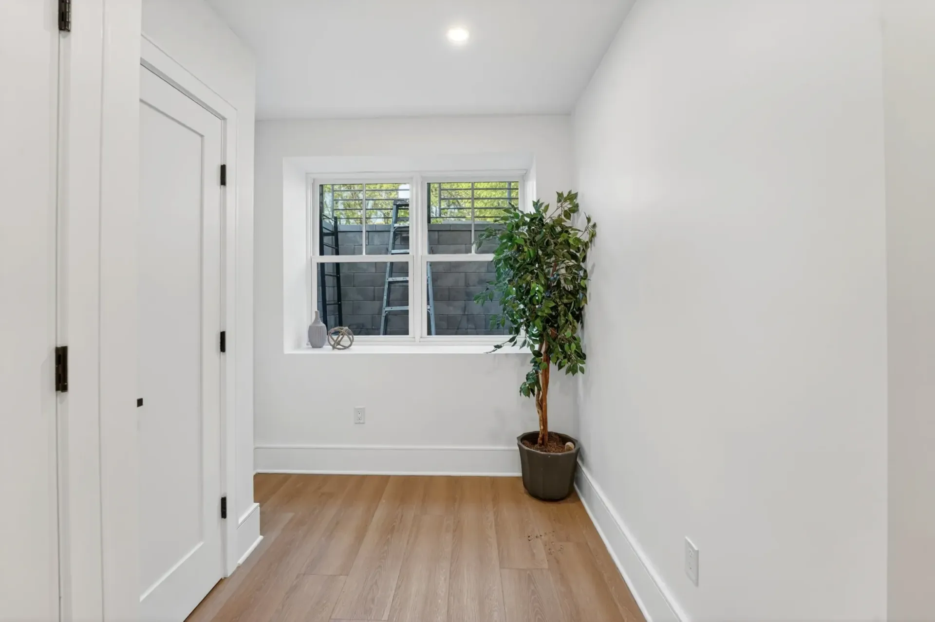 Bright empty hallway with white walls, wood floor, window, and a potted plant.