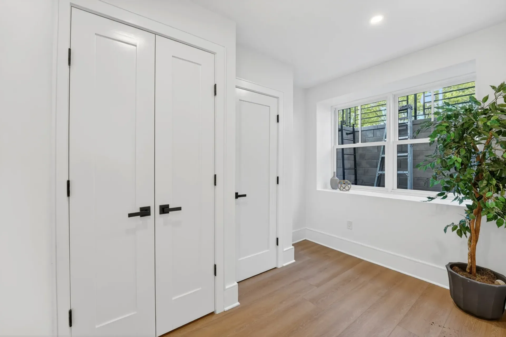 Bright white room with double doors, wood floor, and a window beside a potted tree.