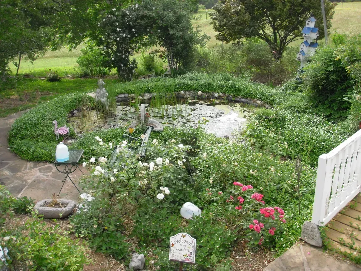 A garden with a pond surrounded by flowers and trees