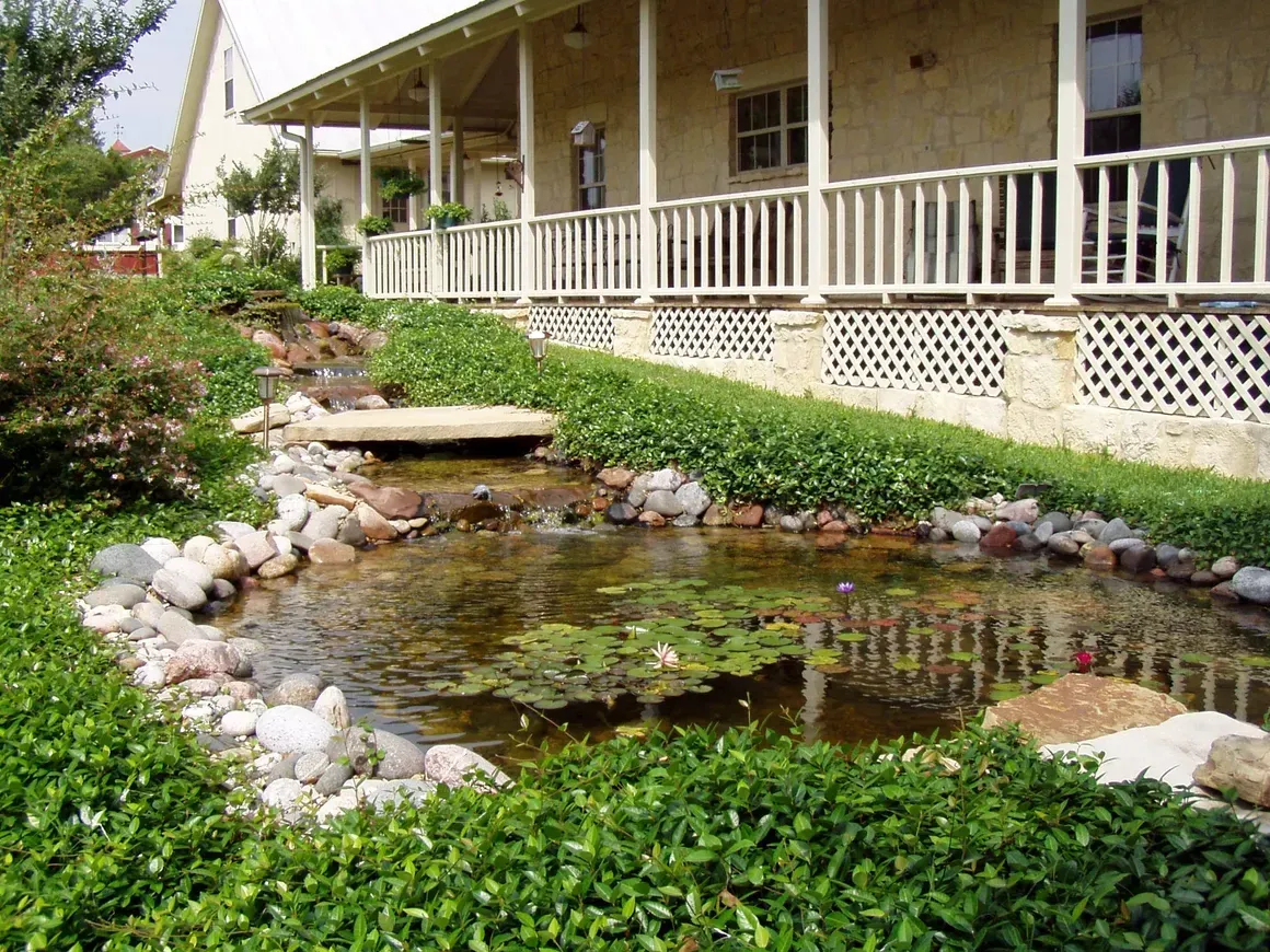 A pond filled with water lilies and a waterfall in a garden.