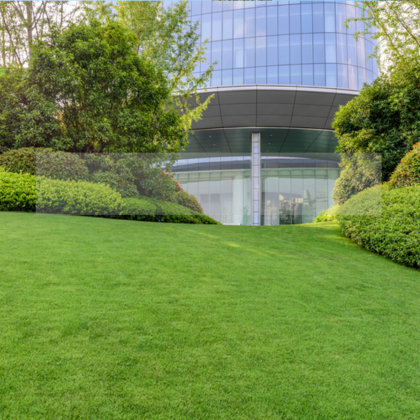 Commercial Landscaping