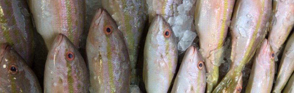 market-fresh fish