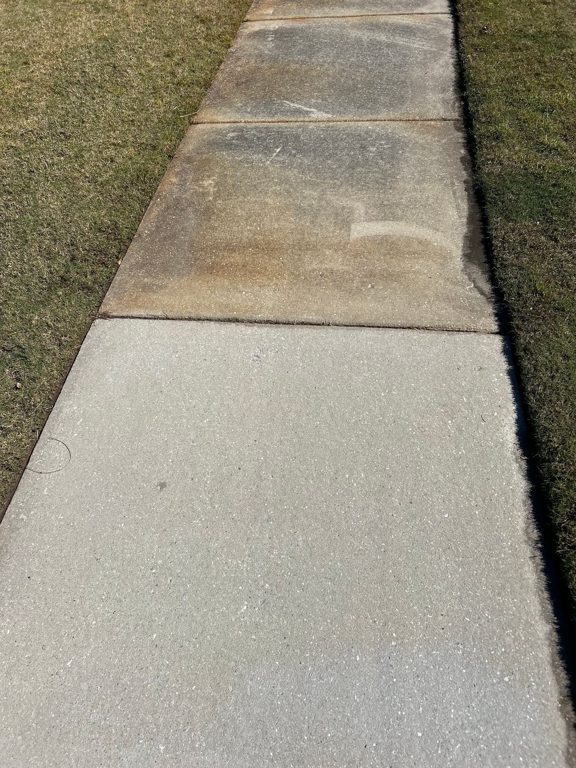 Concrete sidewalk with varying levels of cleanliness, bordered by patches of dry grass.