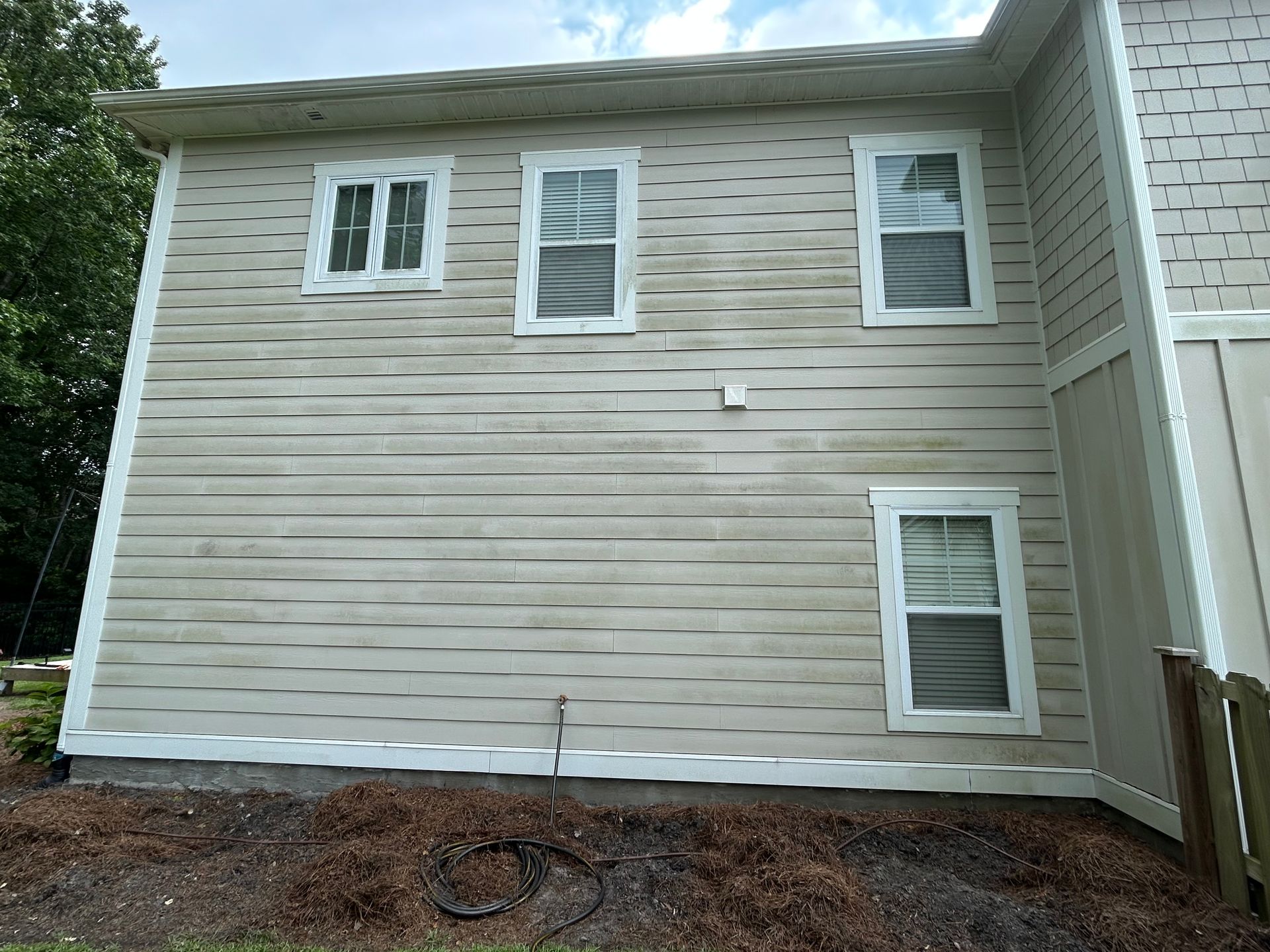 Beige house siding with four windows, stained with dark mold.
