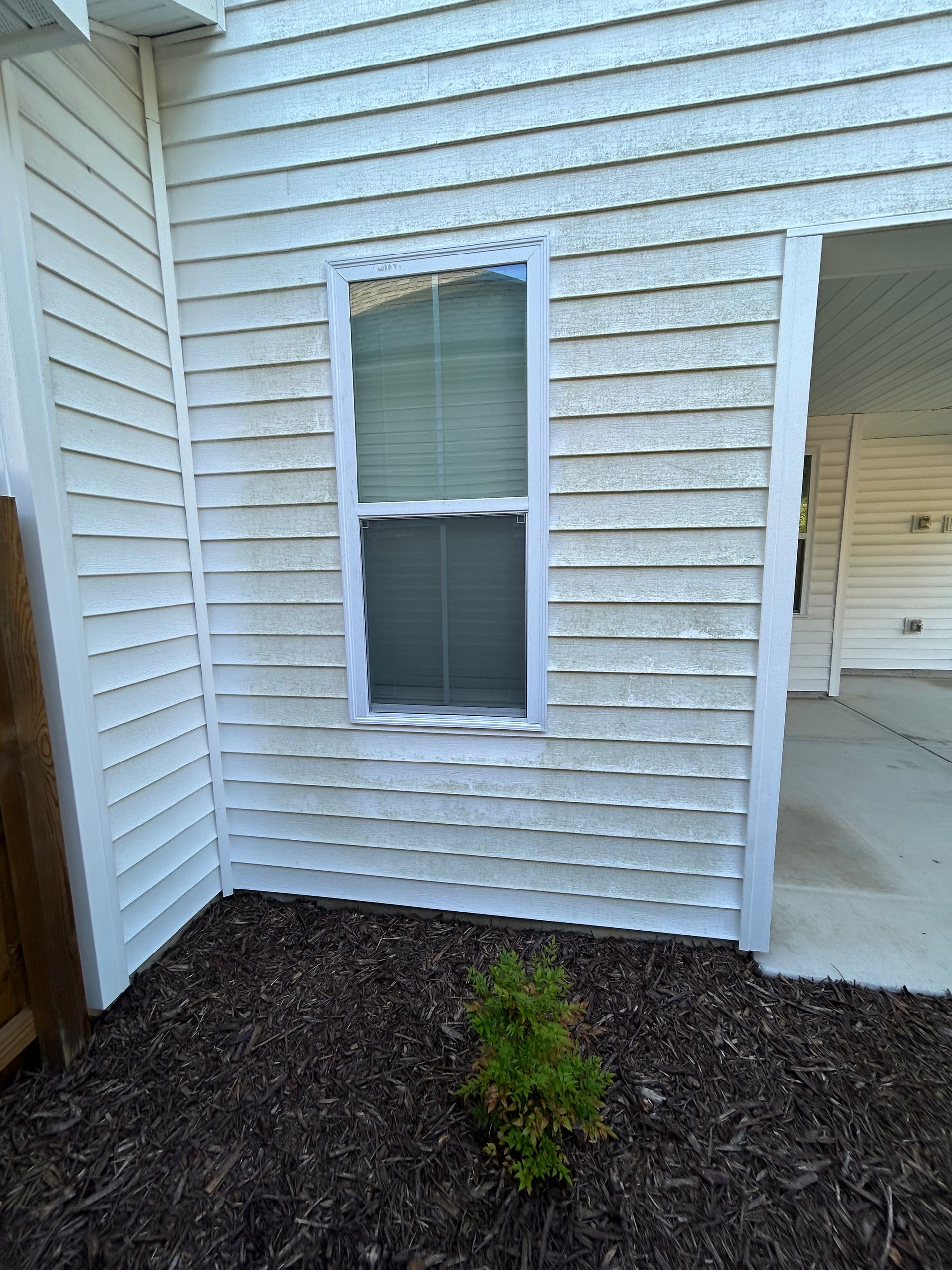 White-sided house with a window and a small bush in front.
