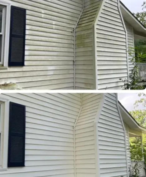 Before and after photos of house siding cleaned, showing removal of green algae and mildew.