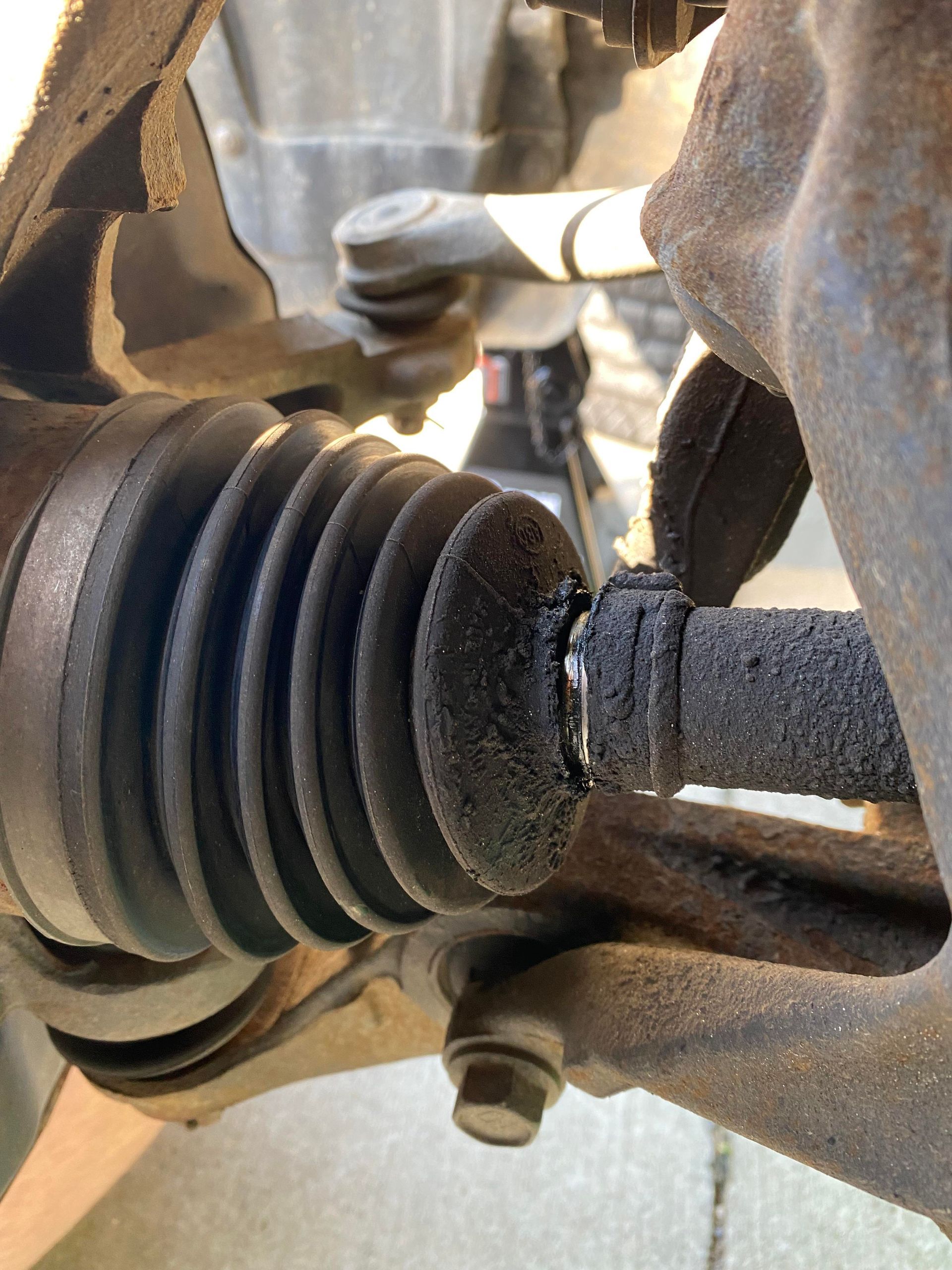 torn cv boot