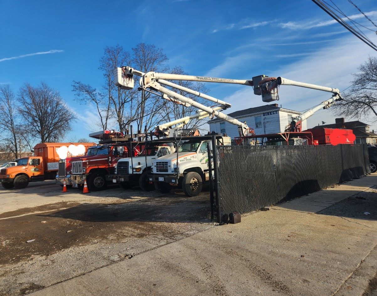 A bunch of trucks are parked on the side of the road.