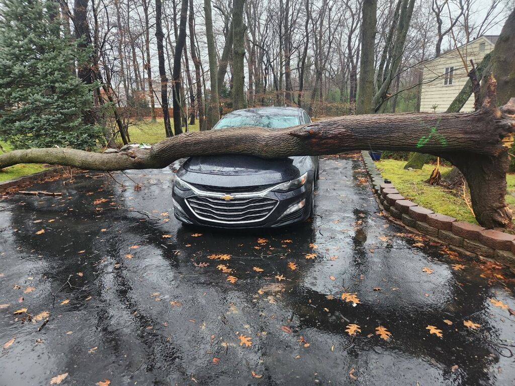a car is parked in a driveway with a tree fallen on it .