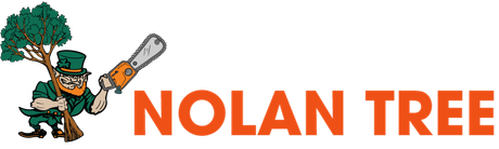 Nolan Tree - Logo