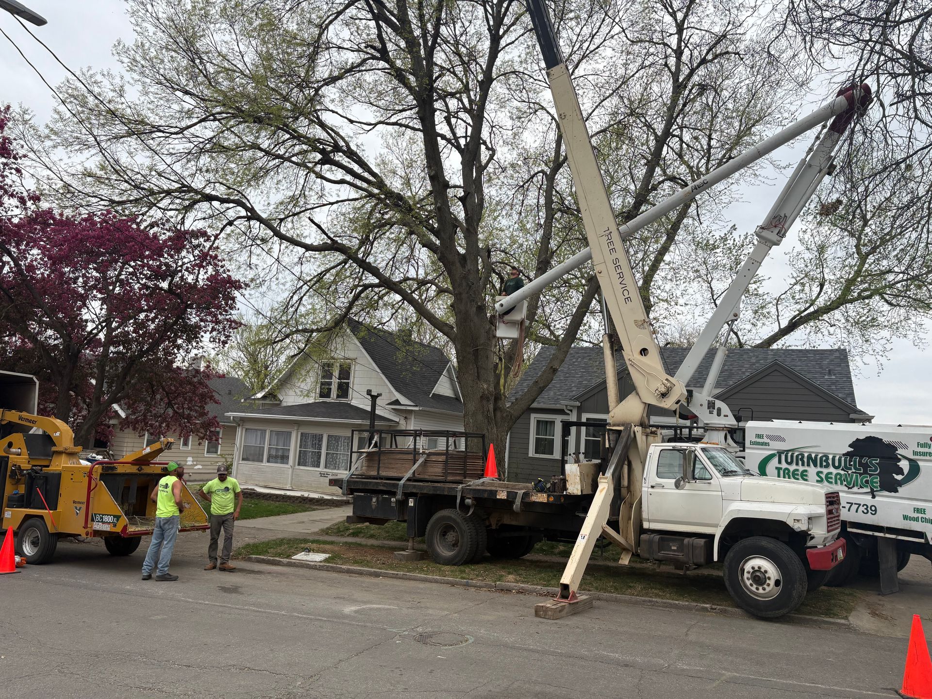 Tree removal in progress: truck with crane, workers, wood chipper, house in background.