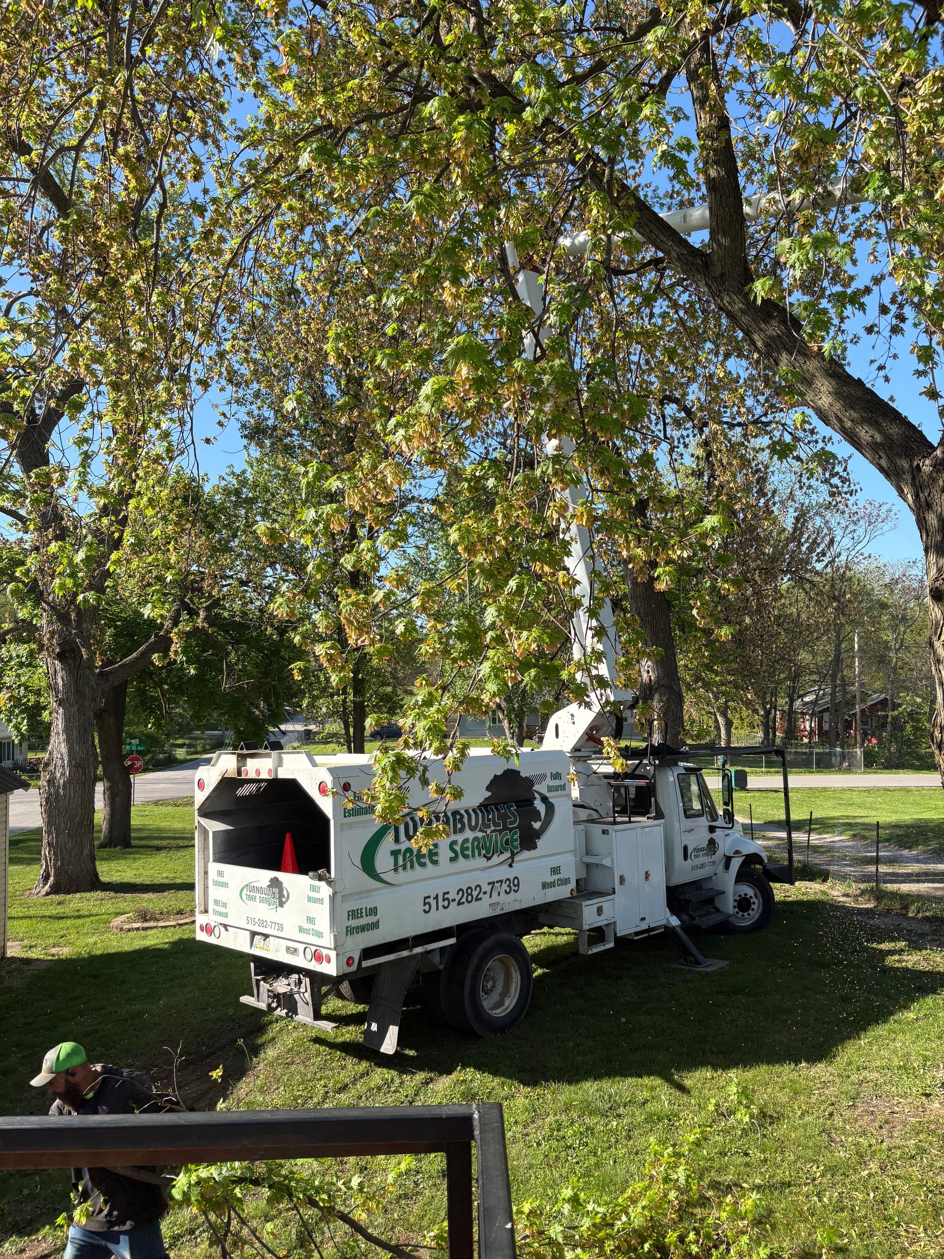 Tree service truck under a tree with a worker, green and white truck, blue sky, and green grass.