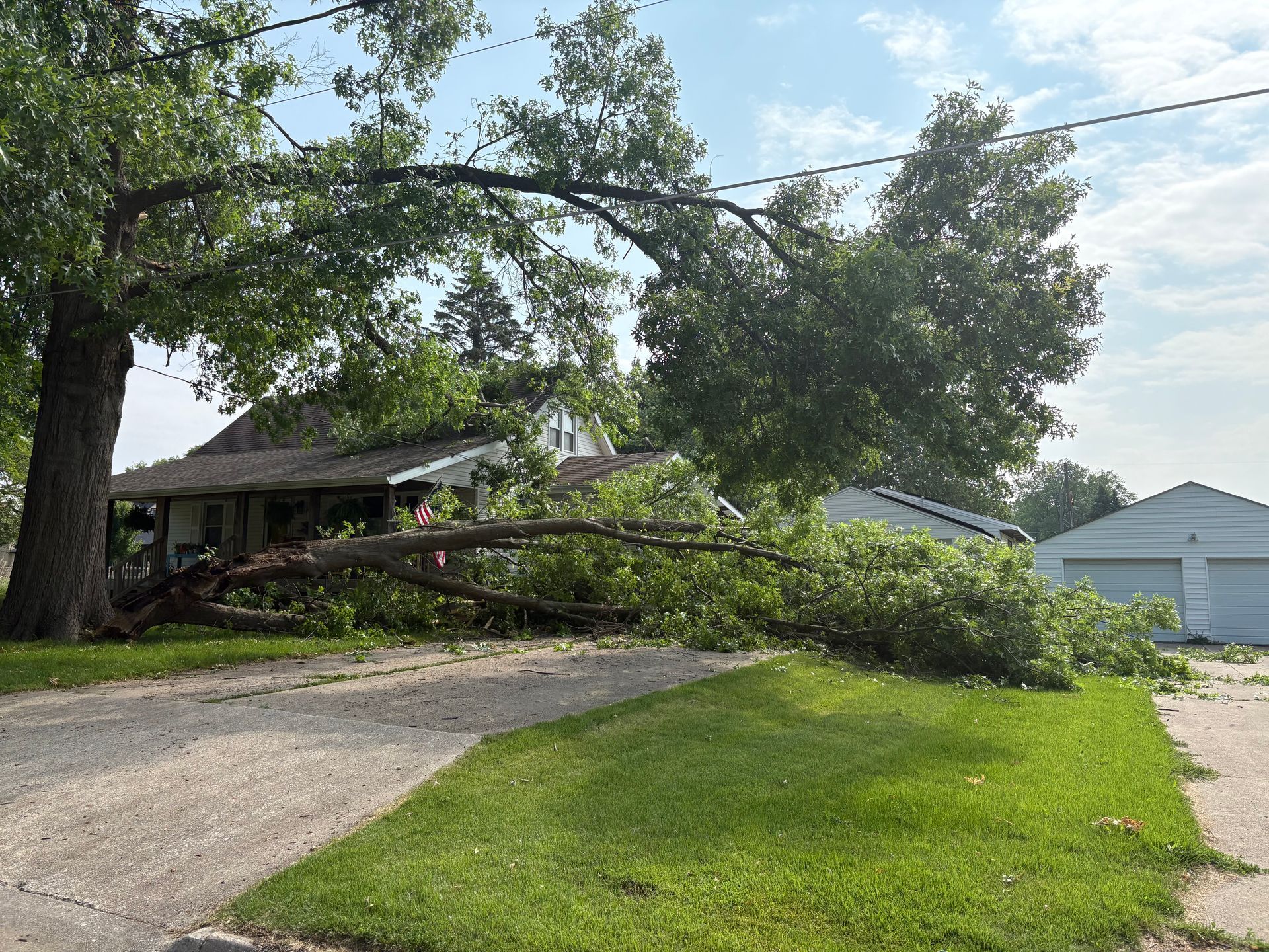 Fallen tree branches block a driveway and rest on a house. Green grass and white garage are visible.