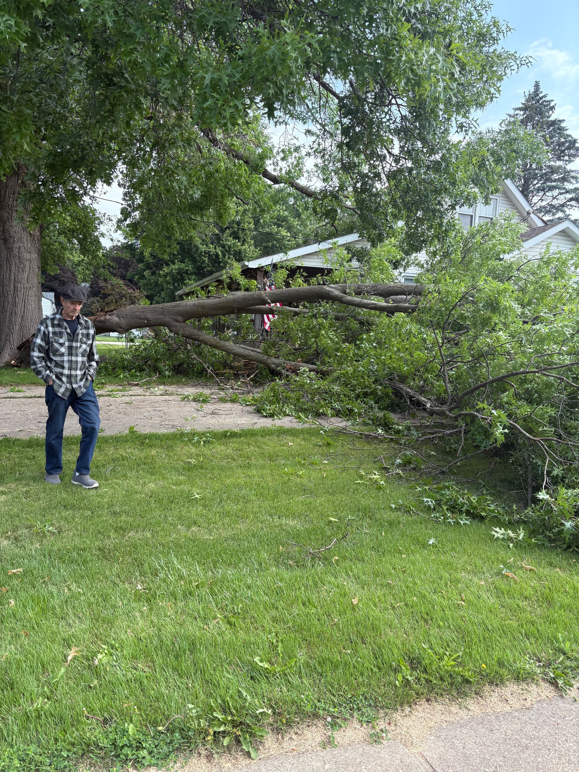 Man standing near a fallen tree branch on a lawn in front of a house.