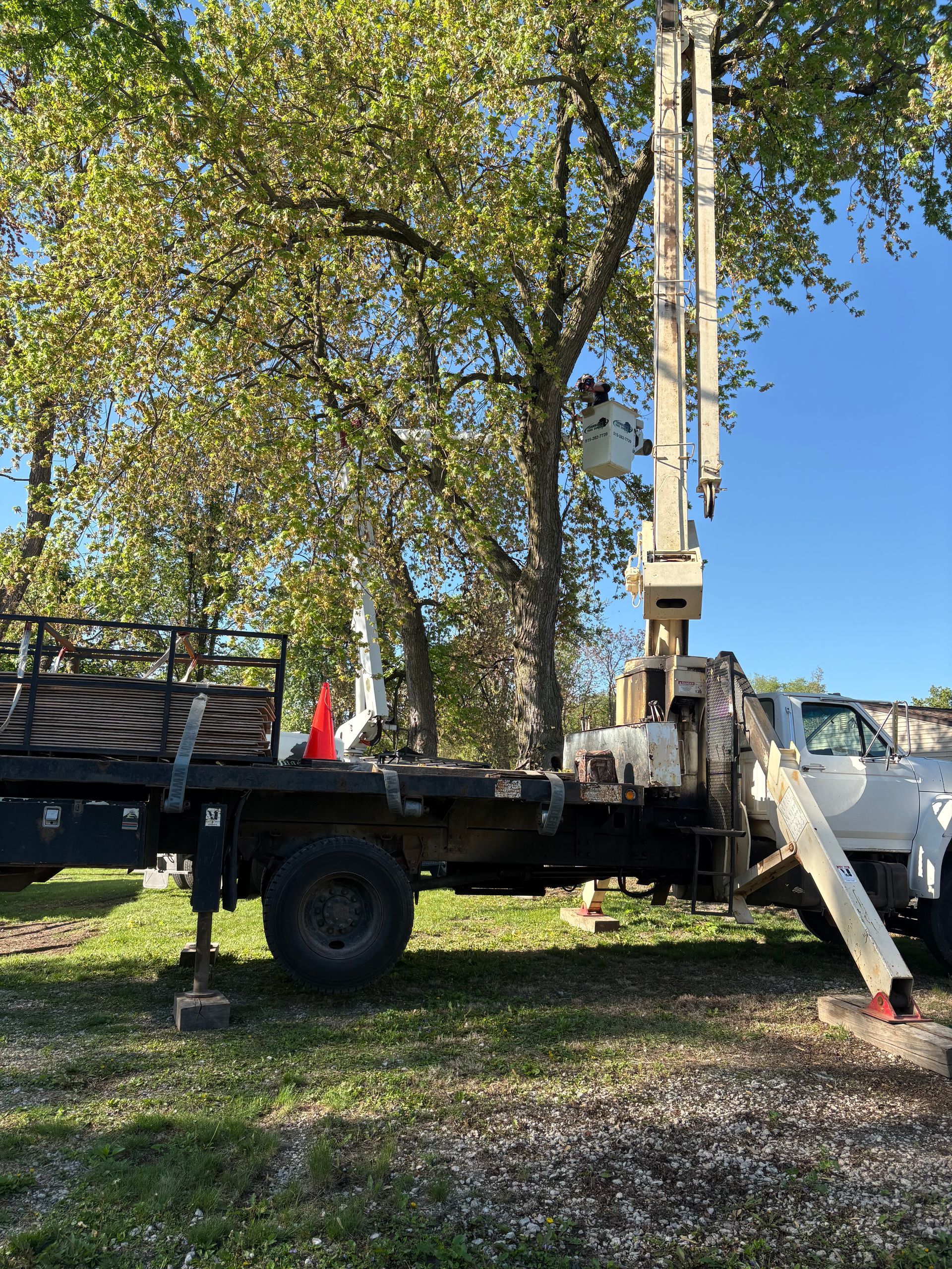 A tree trimming truck with an elevated bucket. The truck is parked on grass, beneath a large tree.