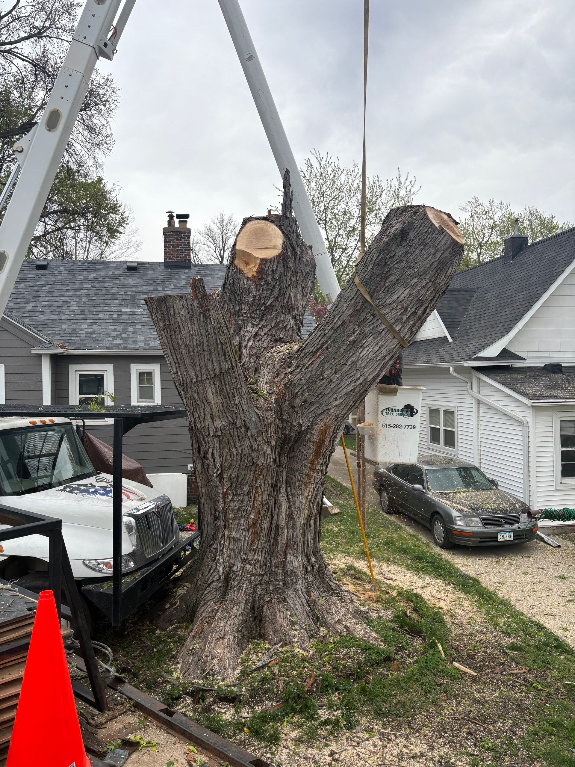 Tree stump with two large cut branches, next to house; crane removing pieces; overcast sky.