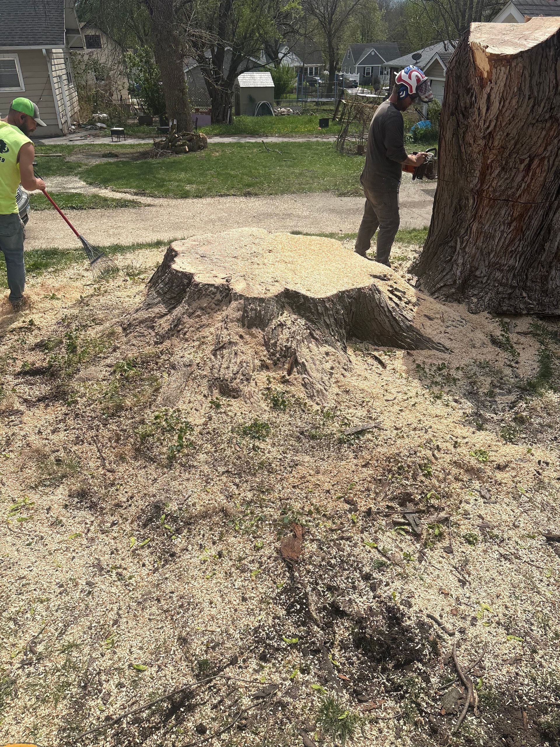 Two men removing a tree stump, covered in wood chips, in a yard. One is using a chainsaw.