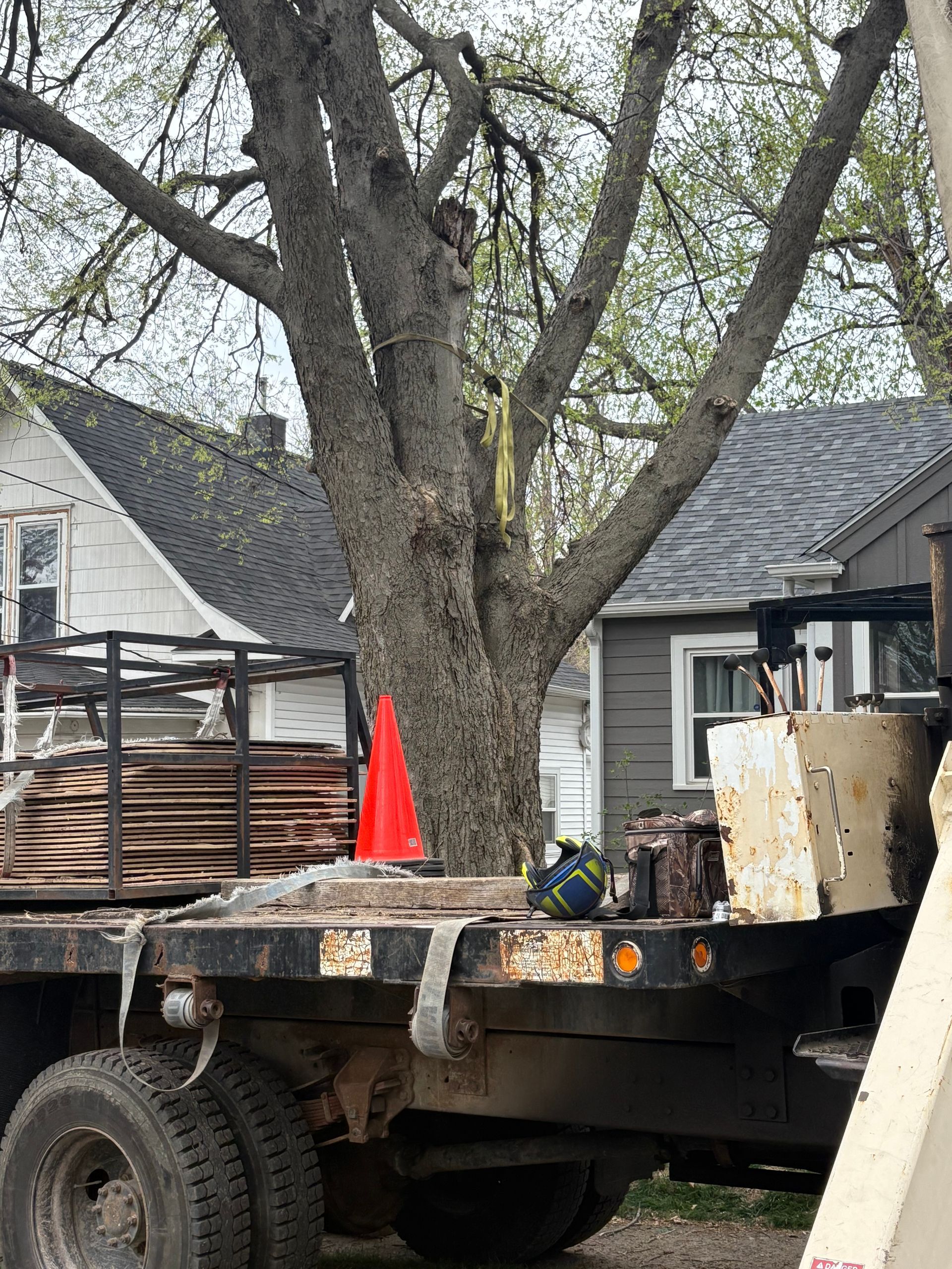 Truck with supplies near a large tree being worked on, houses in background. Orange cone on truck.