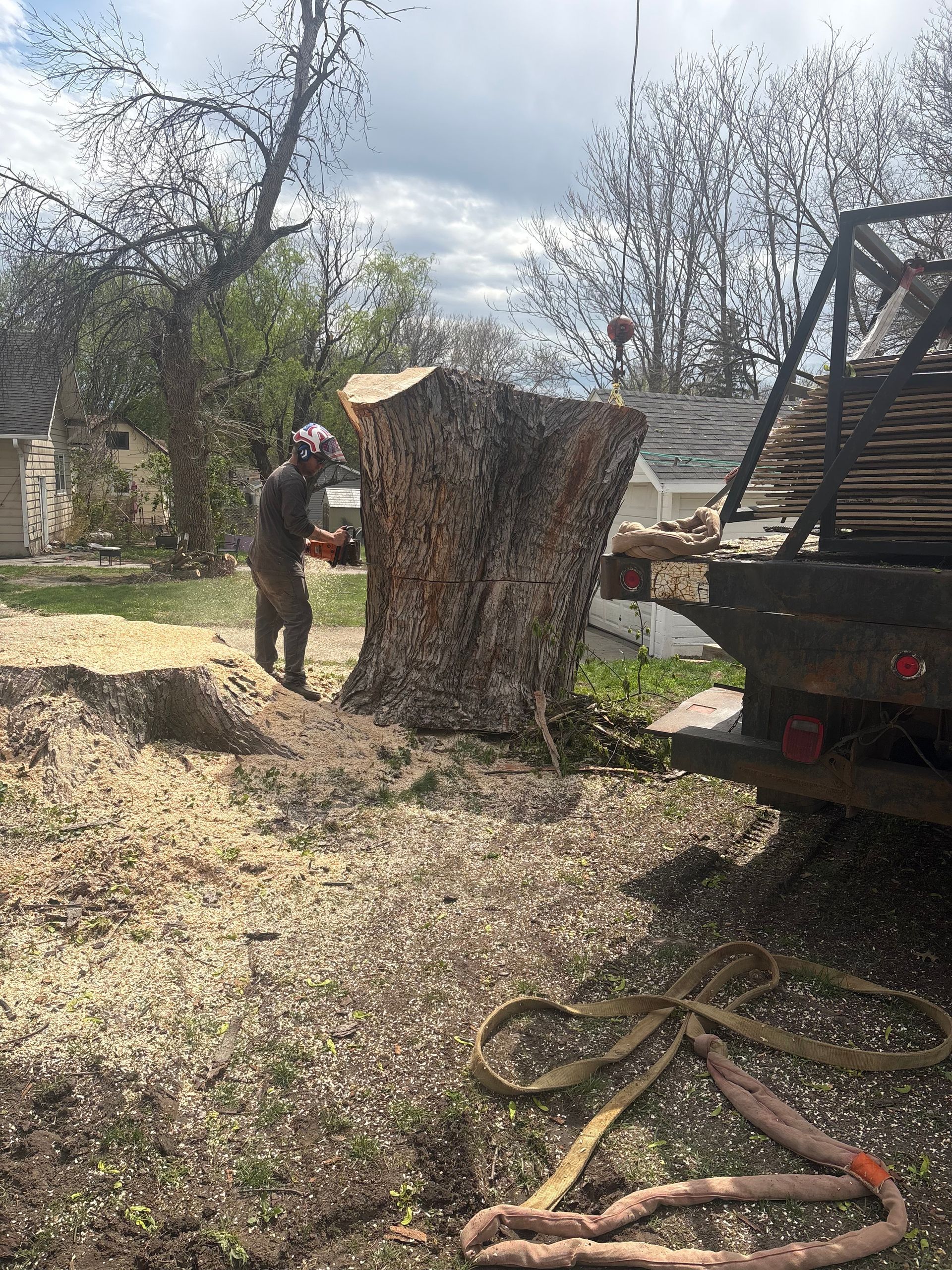 A person cuts a large tree stump with a chainsaw, near a truck, sawdust everywhere.