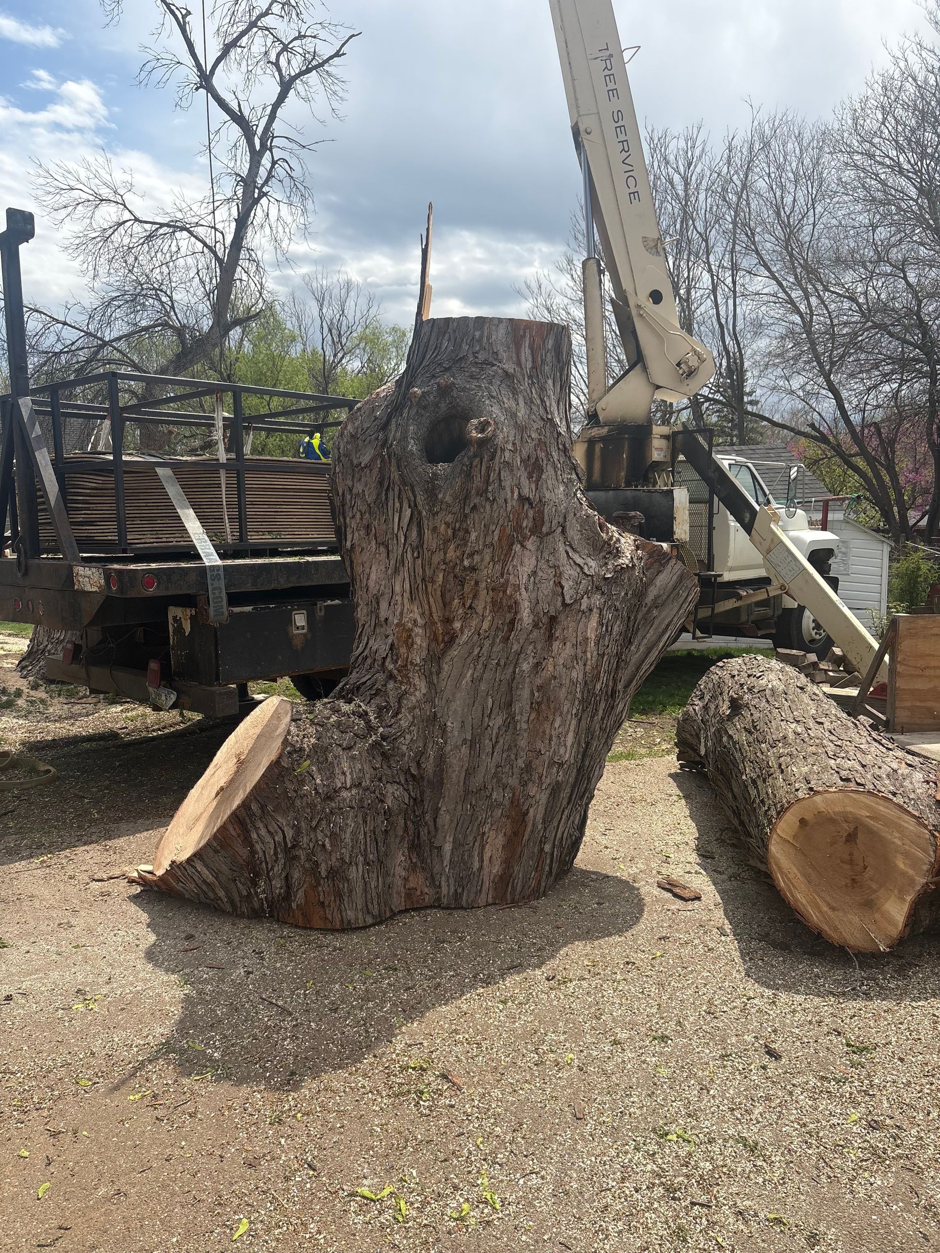 Tree trunk and cut log on gravel next to a truck and boom lift.