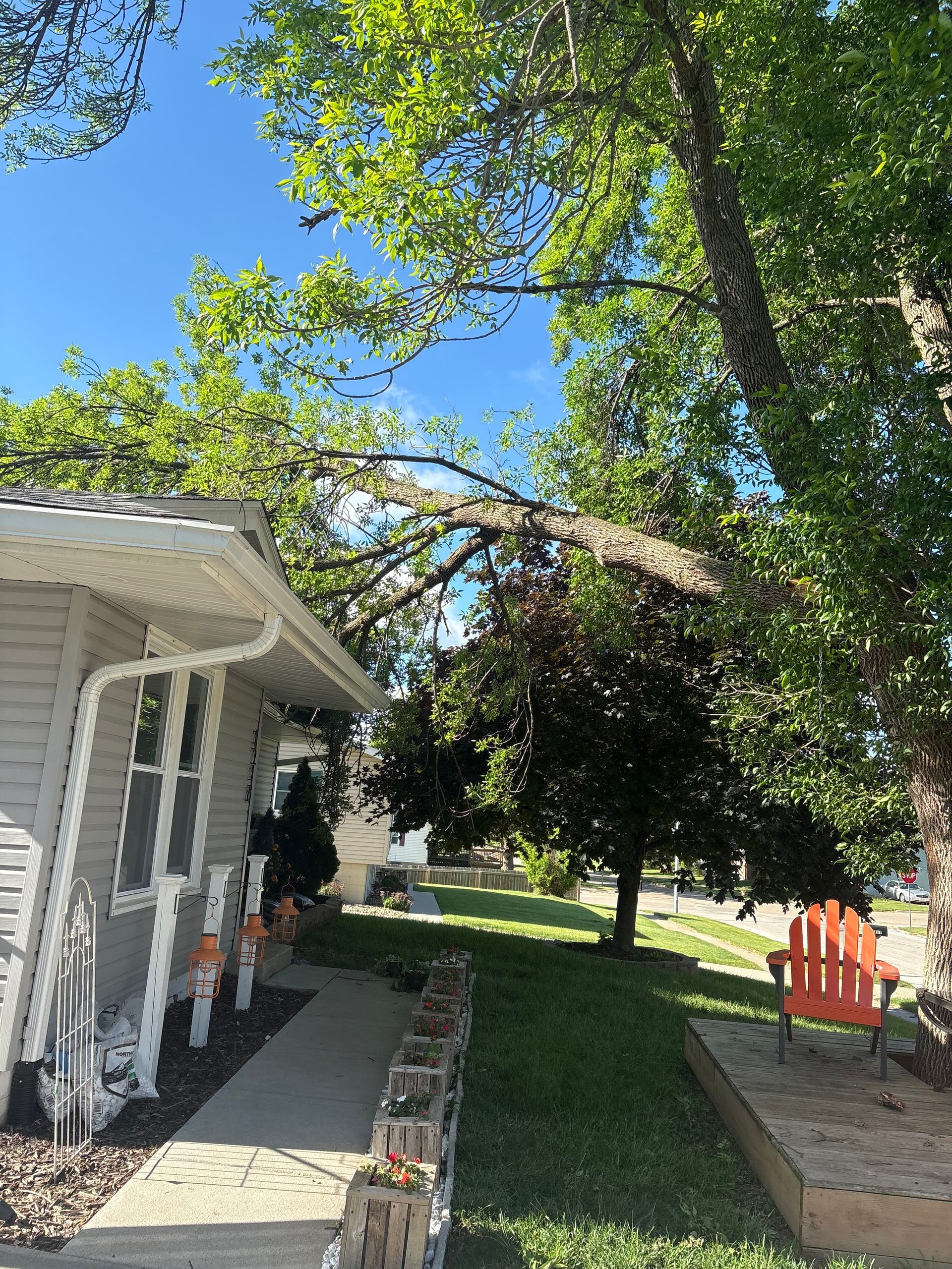 A white house with a tree leaning over it and an orange chair on the lawn.