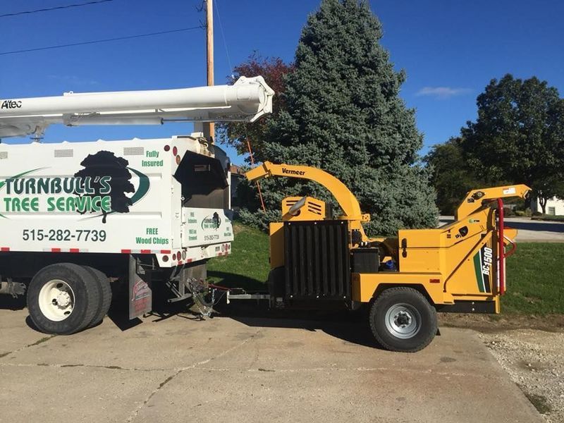 A Turnbull's Tree Service truck with lift and a yellow wood chipper on a sunny day.