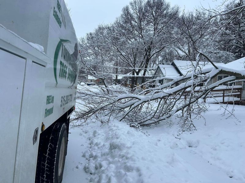 A snow-covered scene with a utility truck, fallen tree blocking road, and houses in the background.