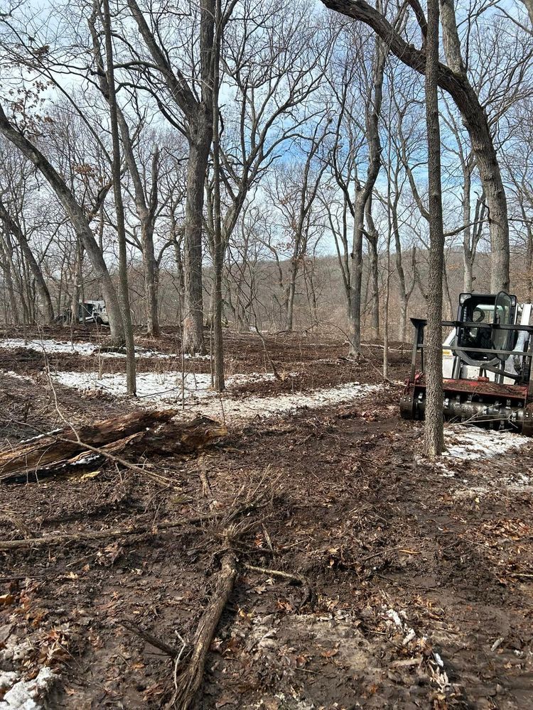 Forest area cleared by machinery; trees, dirt, snow, and equipment.