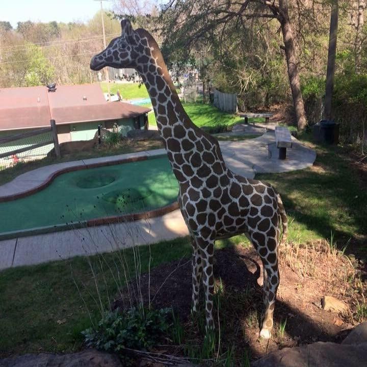 Miniature Golf Course | Mini Golf Course | Asheville, NC