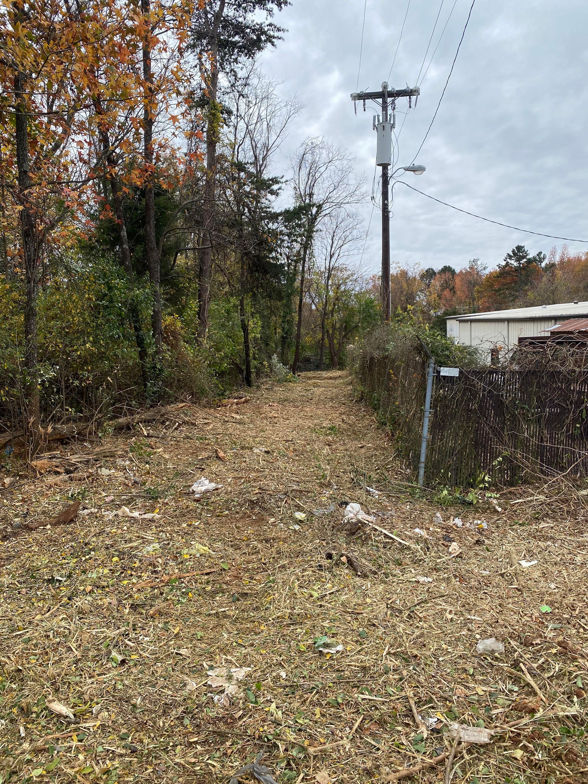 A dirt road going through a forest with a telephone pole in the background.