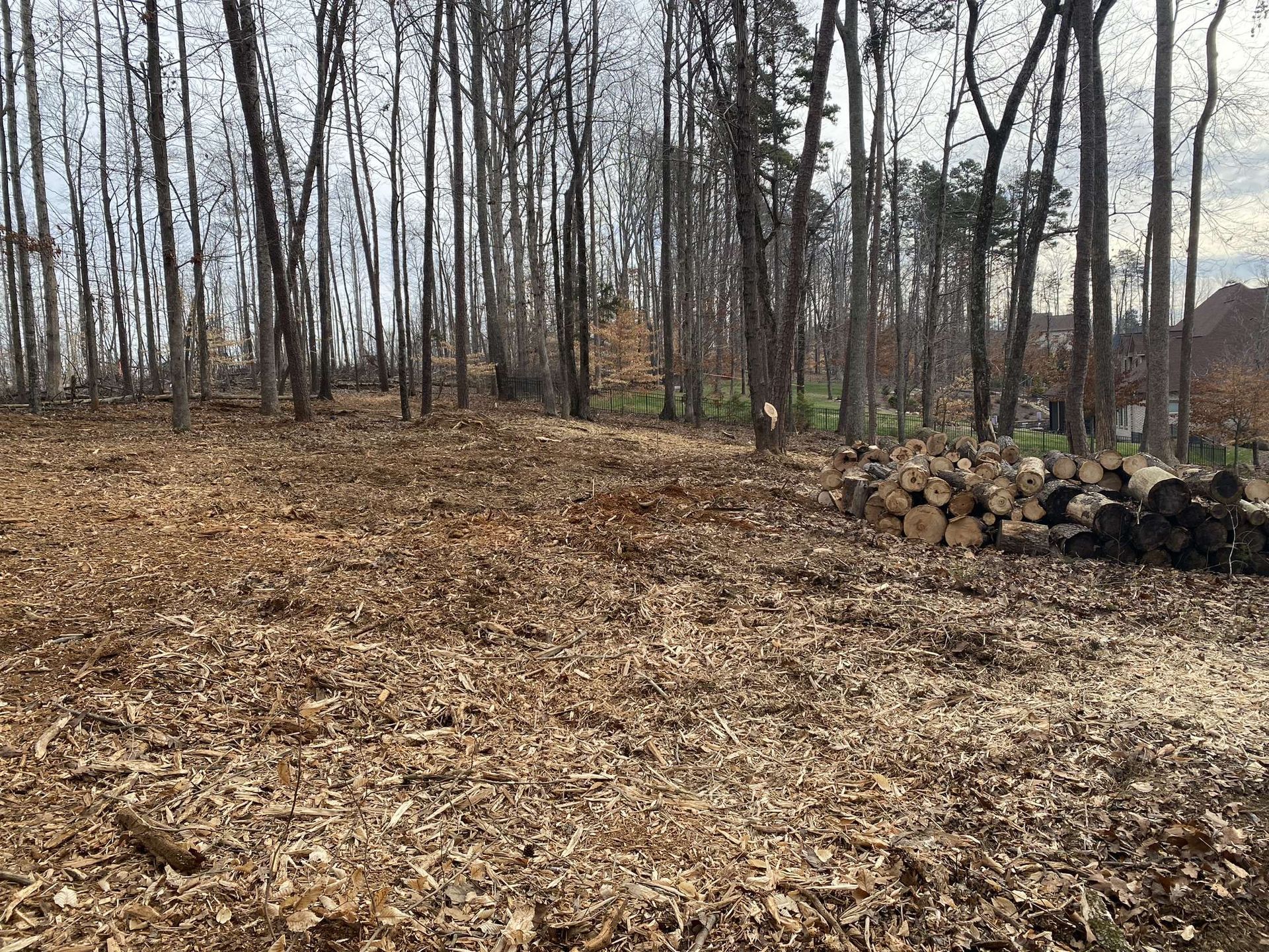 A pile of logs is sitting in the middle of a forest.