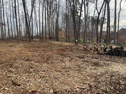 A pile of logs is sitting in the middle of a forest.